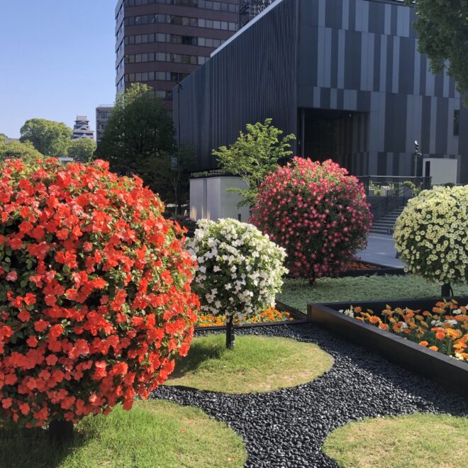 花畑広場の大花壇